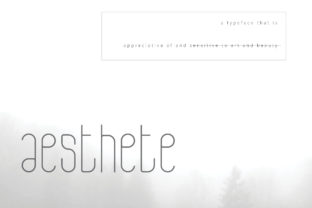 Aesthete Font Download: A Delicate Display Typeface Review