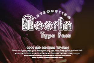 Noerin: A Unique Display Font for Modern Web Design