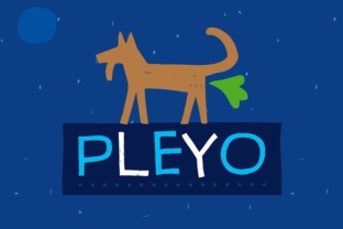 Pleyo: A Versatile Display Typeface for Modern Editors