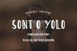 Sont O Yolo: A Bold Display Typeface for Makers
