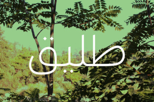 Taleeq Arabic Typeface for Elegant Editorial Design